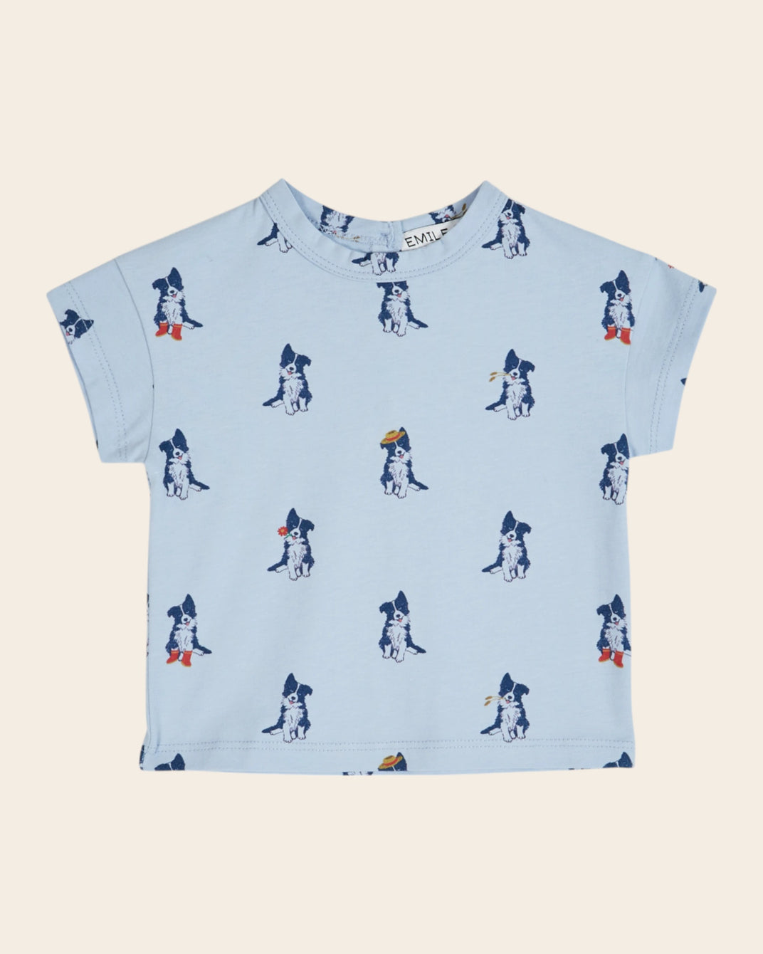 T-shirt - Border collie ciel
