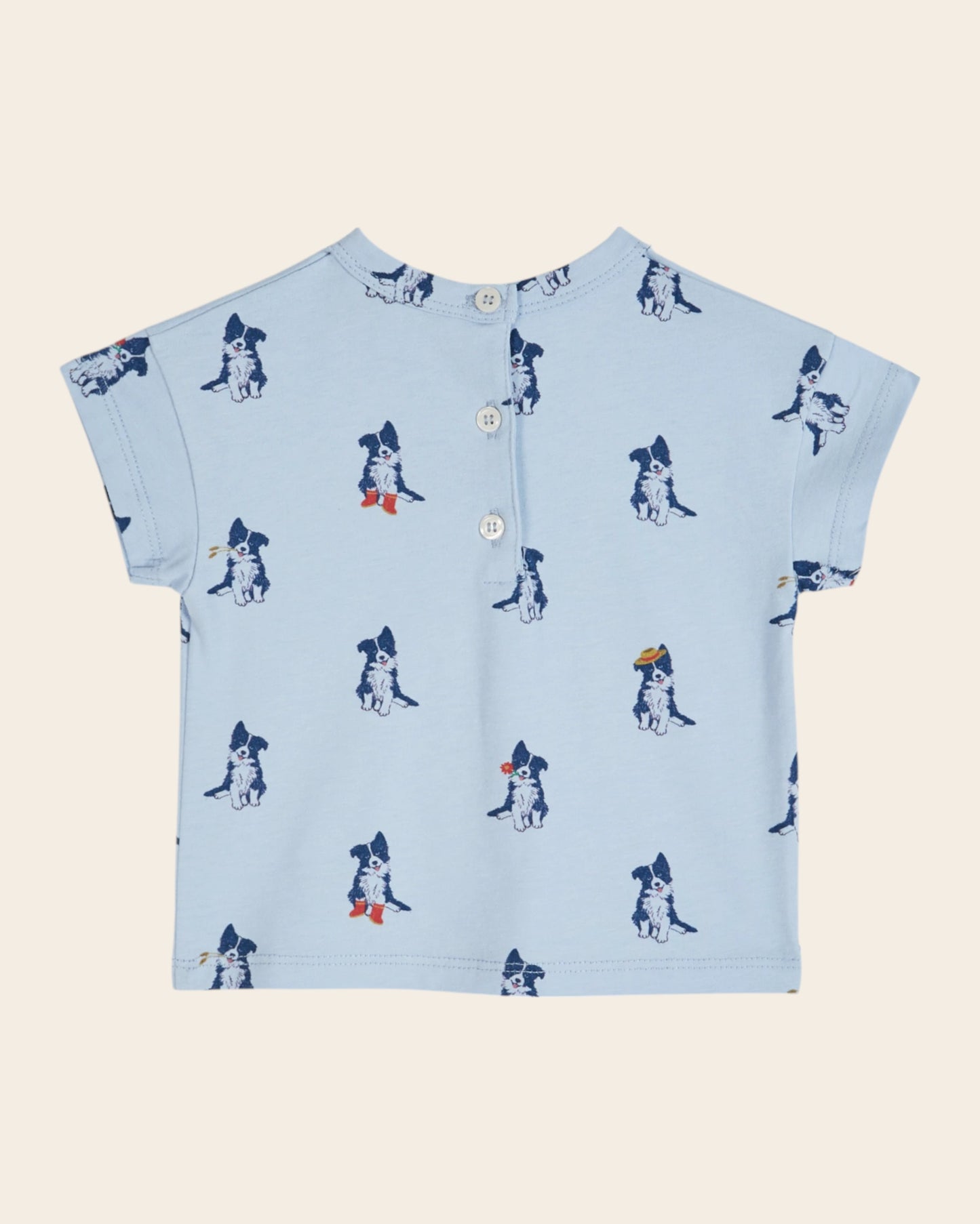 T-shirt - Border collie ciel