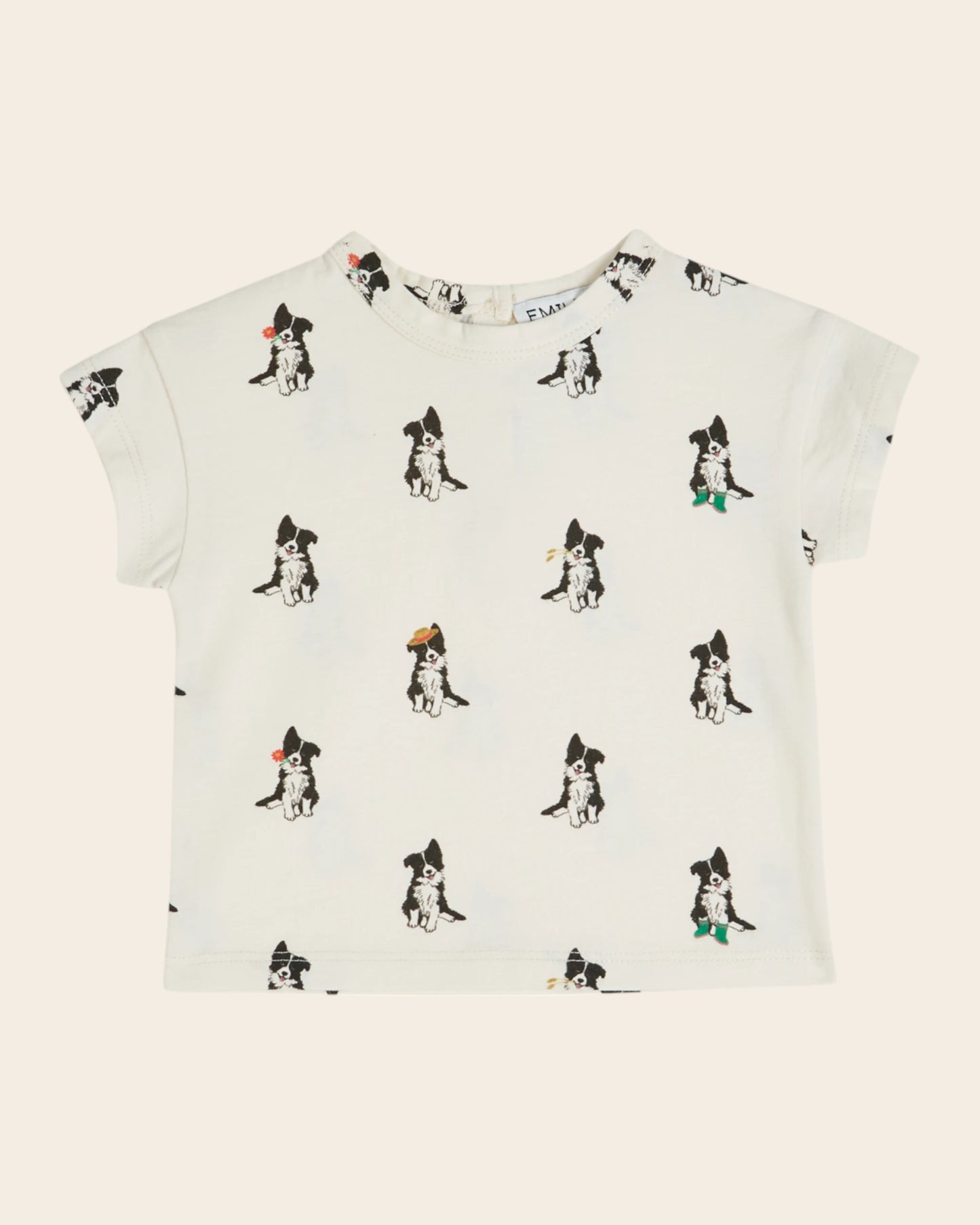 T-shirt - Border collie crème