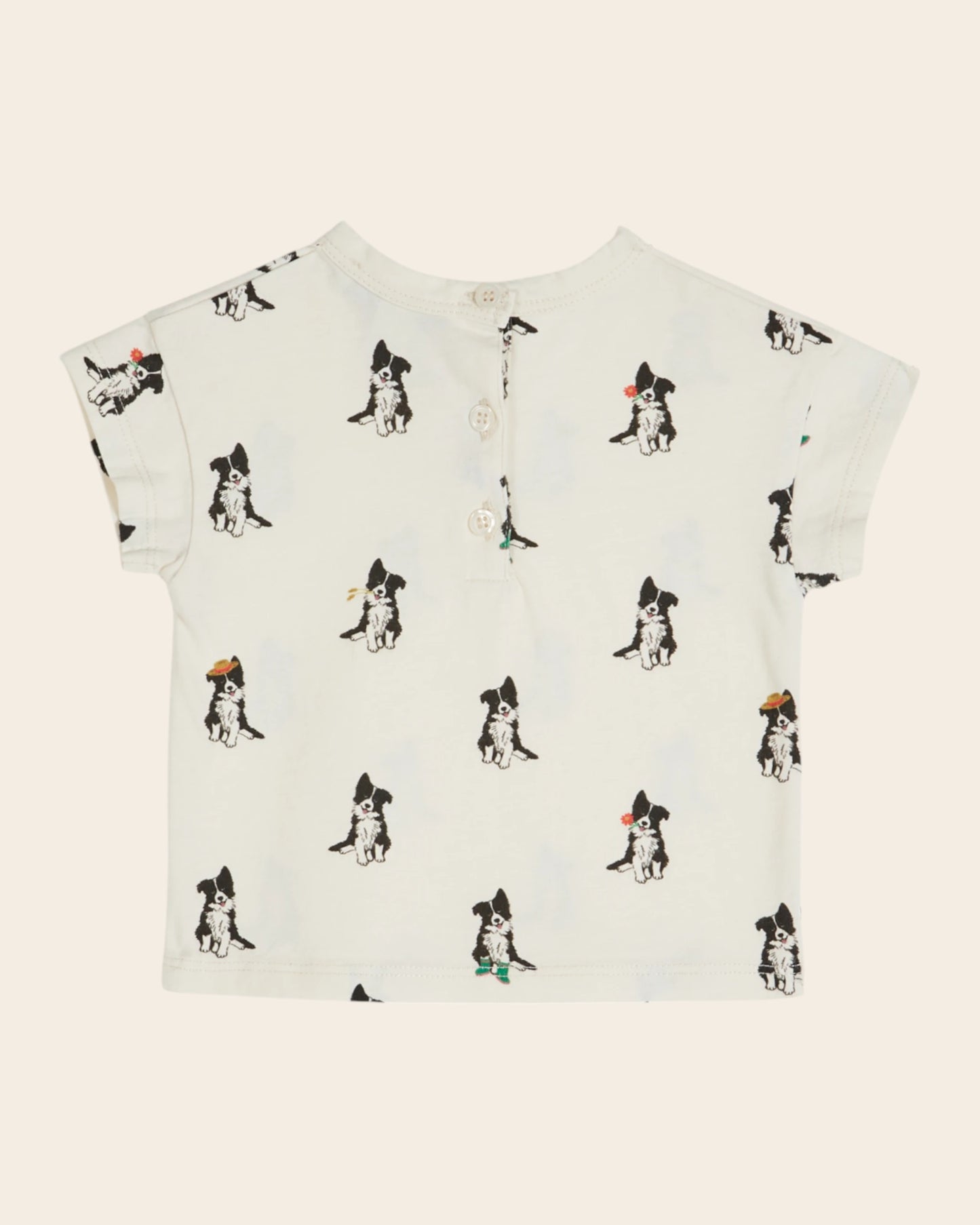 T-shirt - Border collie crème