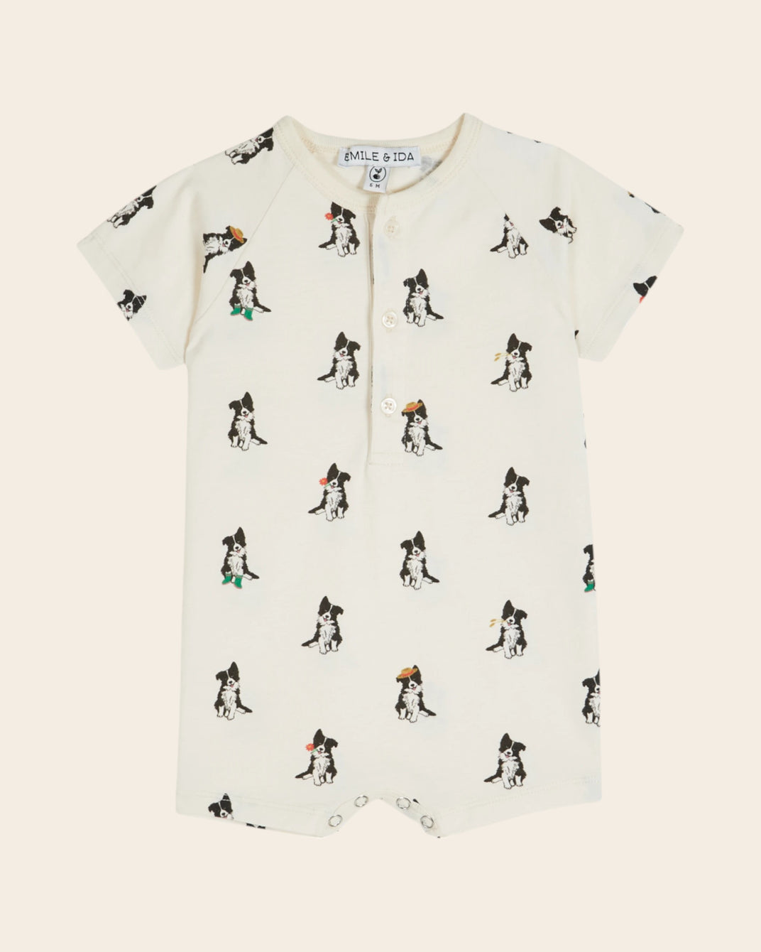 Combibloomer - Border collie crème