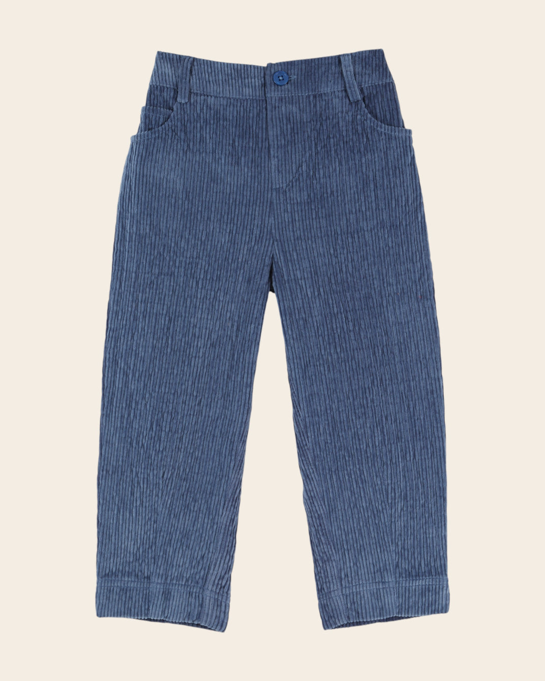Pantalon - Velours bleu