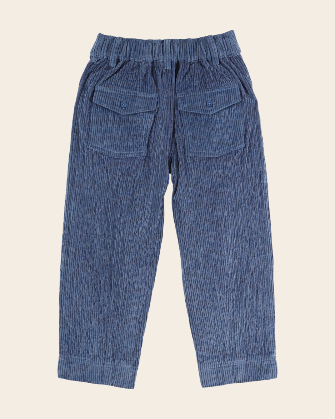 Pantalon - Velours bleu